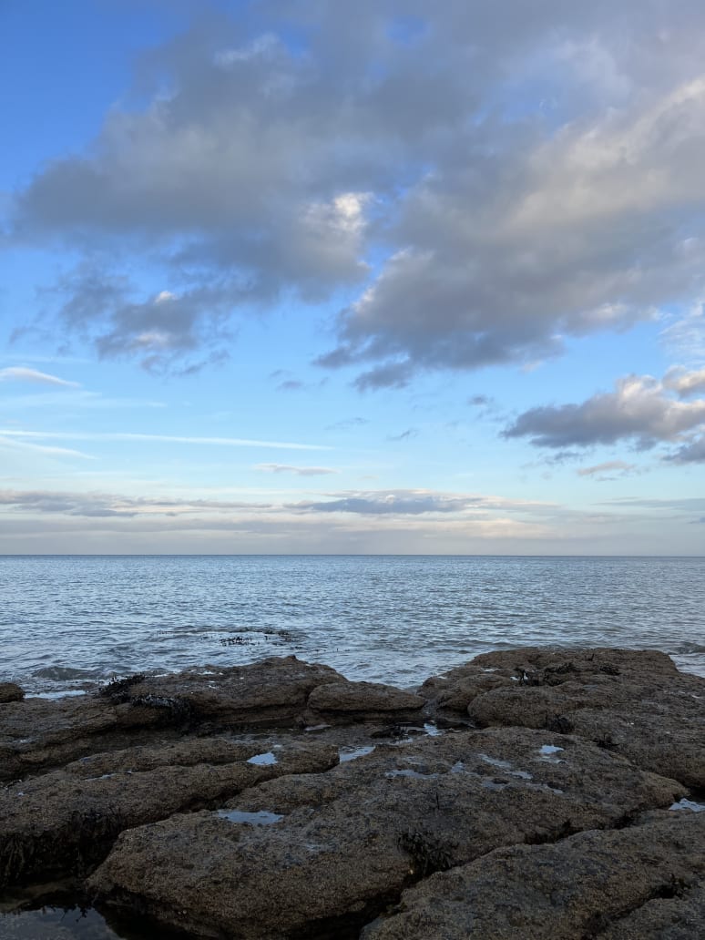 Galeriebild von Torsten - Geiger aus Arnsberg