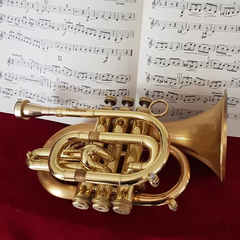 Galeriebild von Matjö Pé - Instrumentalist aus Berlin