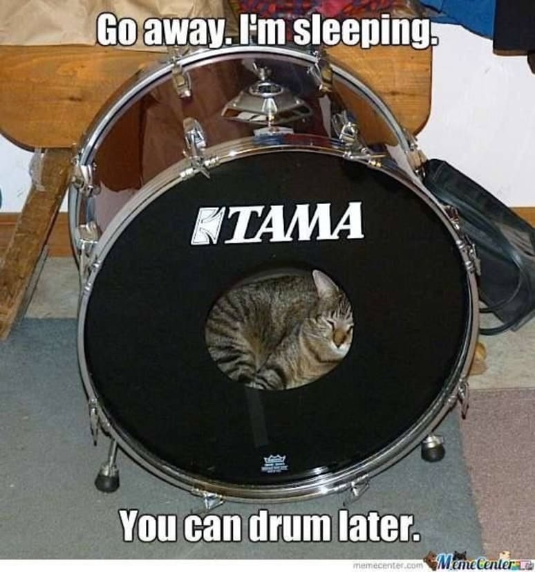 Galeriebild von Scythe - Schlagzeuger aus Kassel