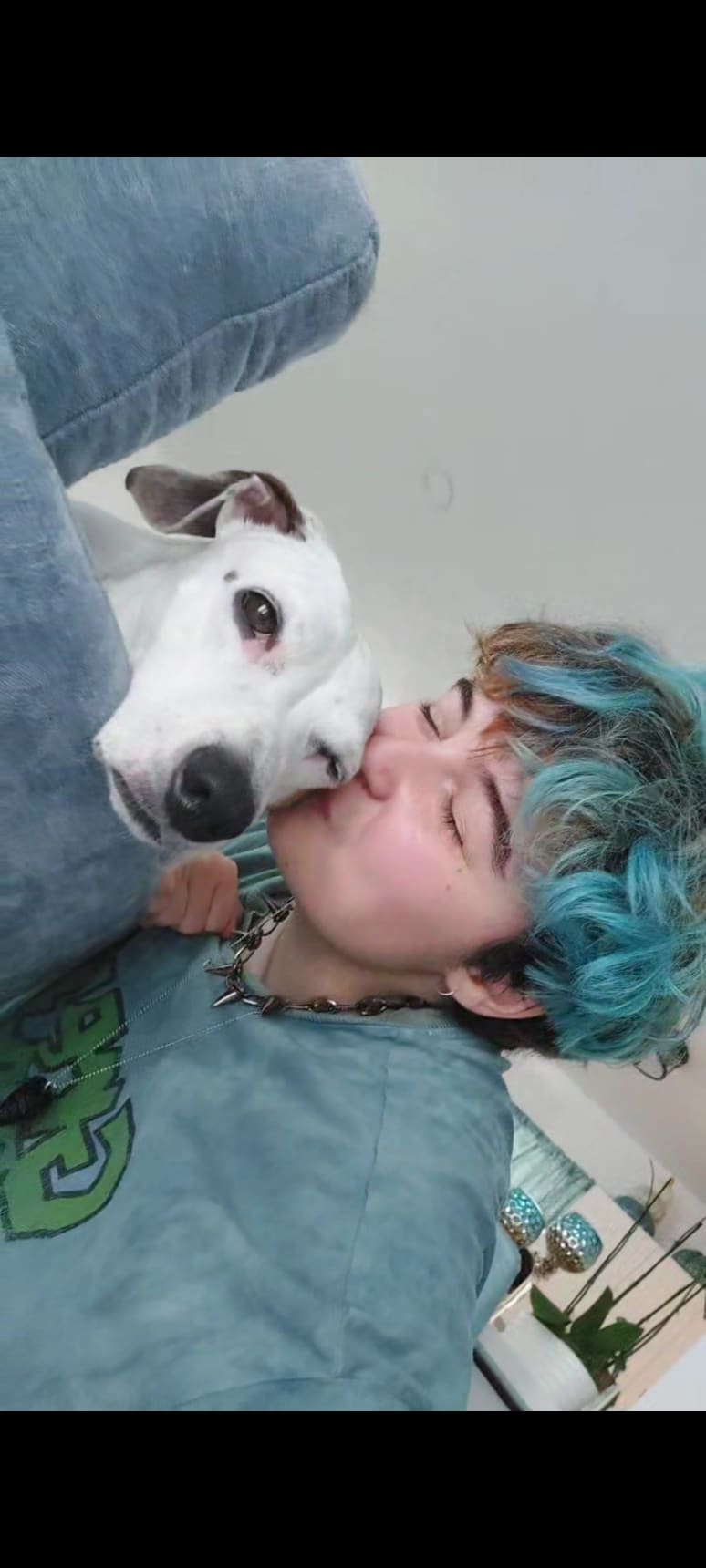 Galeriebild von Mikey C. - Gitarrist aus Berlin