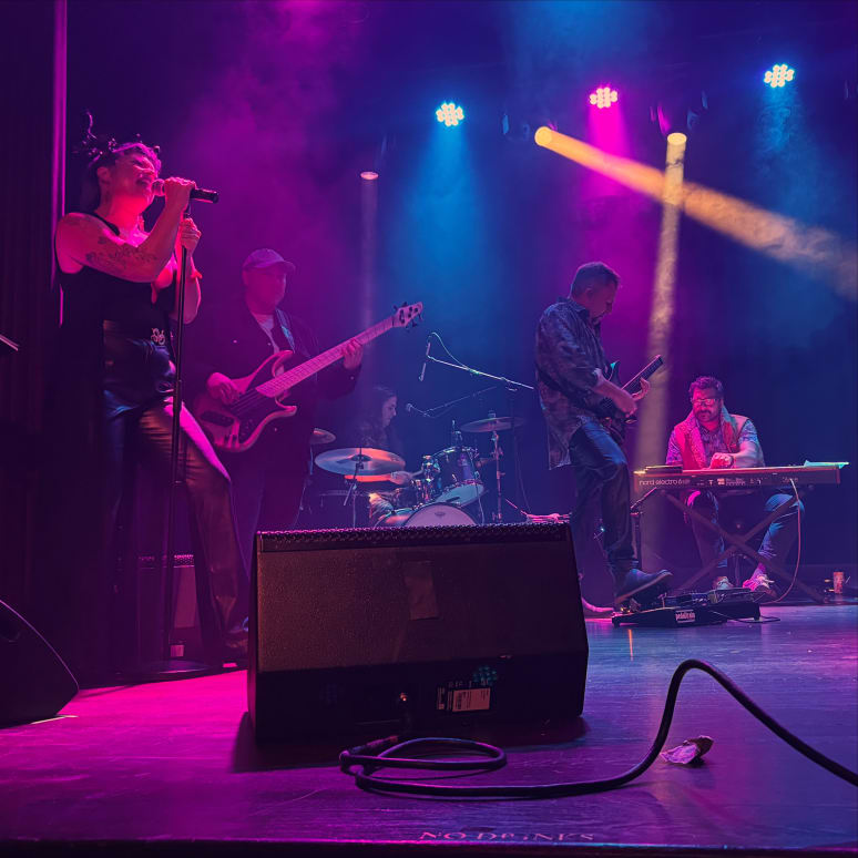 Galeriebild von YourEveryDayBassist - Bassist aus Hamburg