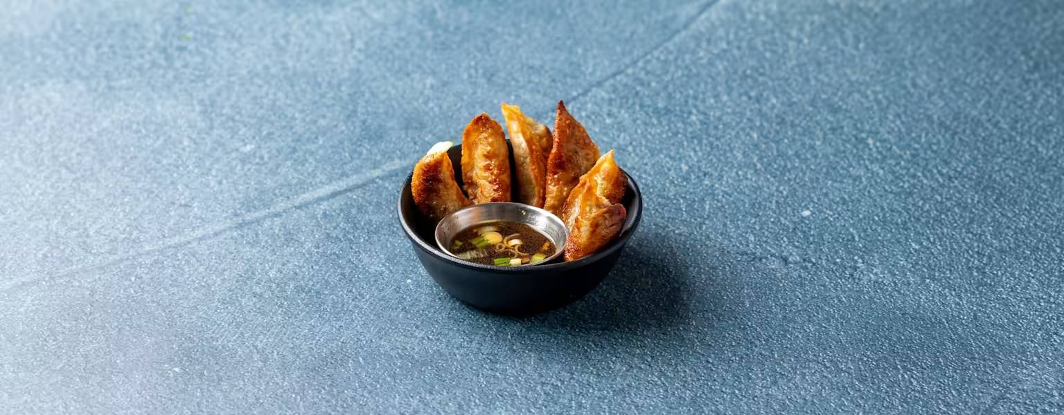 Pork Pot Stickers Appetizer (6)