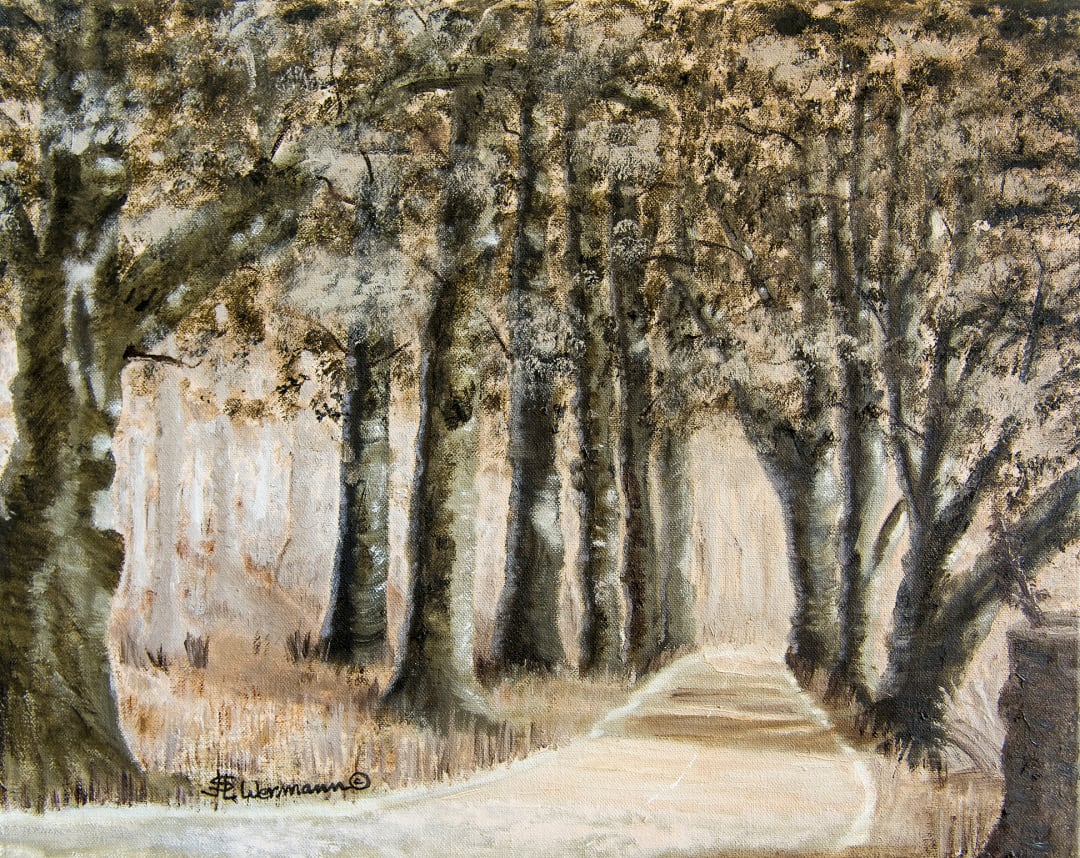 Millpond Road Millpond Road