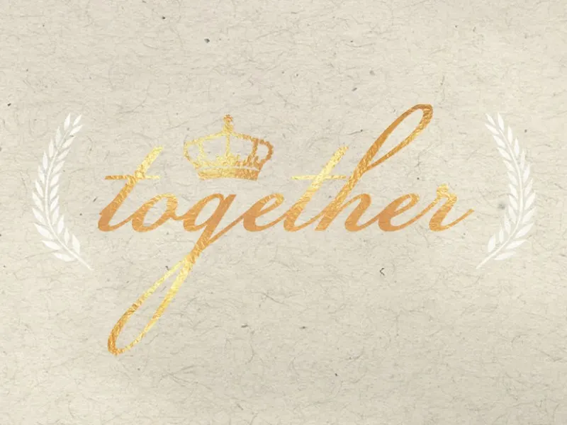 Together Women's Conference 2014 logo