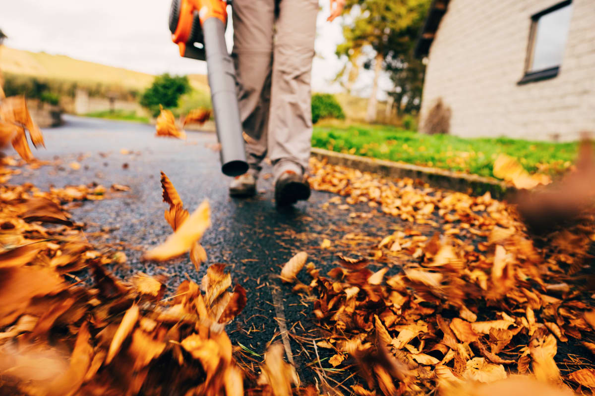 Woman with Leaf Blower