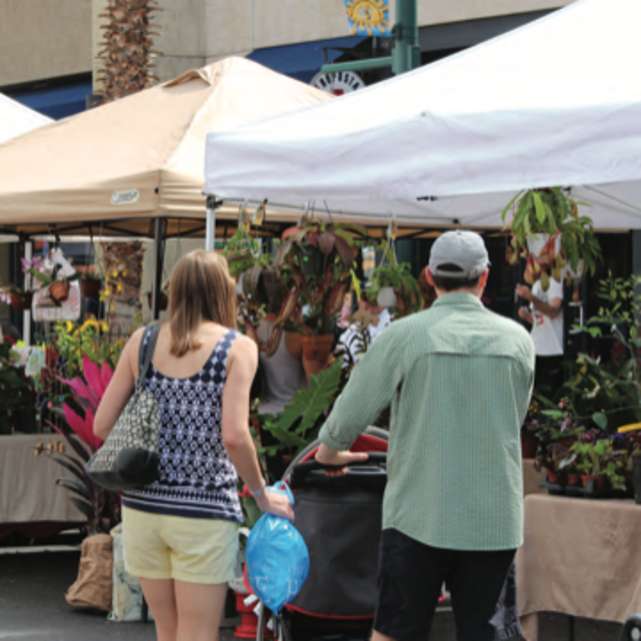 Fresh Market at Wiregrass