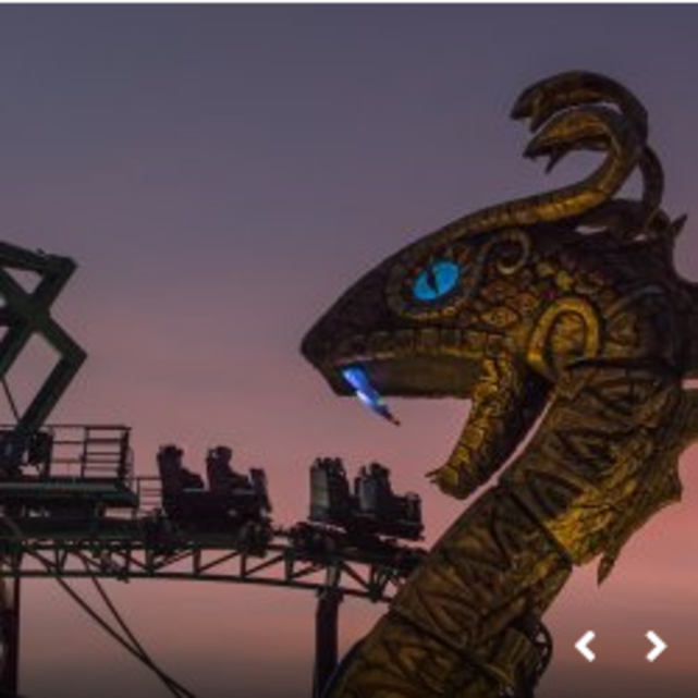 Busch Gardens SUMMER NIGHTS