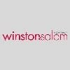 Winston Salem logo