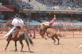 CFD Rodeo edit tiny