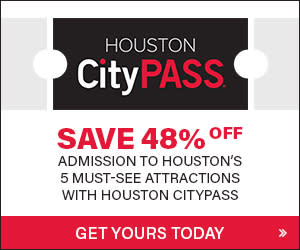 vip passport houston vip passport houston