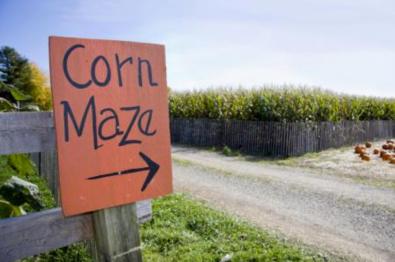 Steed's Dairy Maze Sign