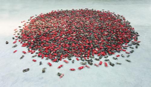He Xie Collection of Materials, 2010