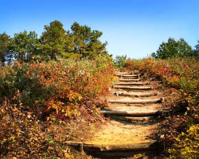 Earth Day in the Pine Bush