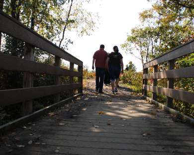 Wonder Walk