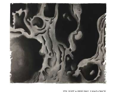 "Wherever the Mushrooms Grow: Natalya Brill"