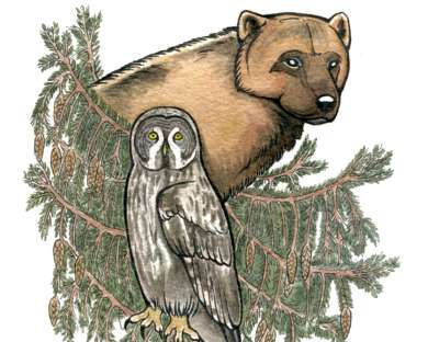 Biocoenosis: Nature Art in Watercolor and Ink