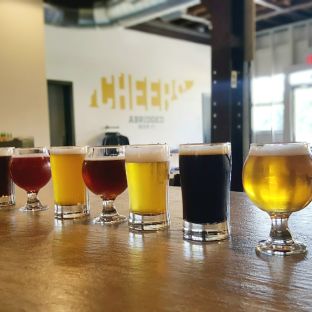 Dog Friendly Restaurants And Patios In Knoxville