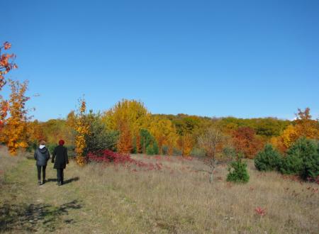 Hiking on the Old Mission Point Park Trails