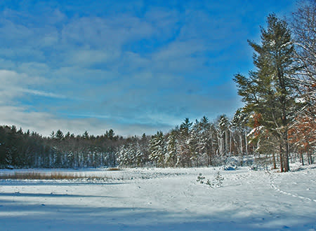 Sand Lakes Quiet Area