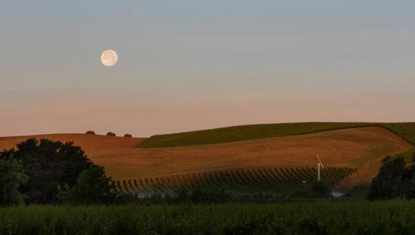 Carneros region