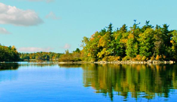 Parks Provide Only Access To Nature Parks Provide Only Access To Nature
