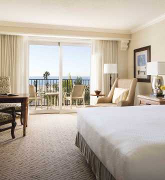 Pasea Hotel Dog Friendly Pasea Hotel Dog Friendly