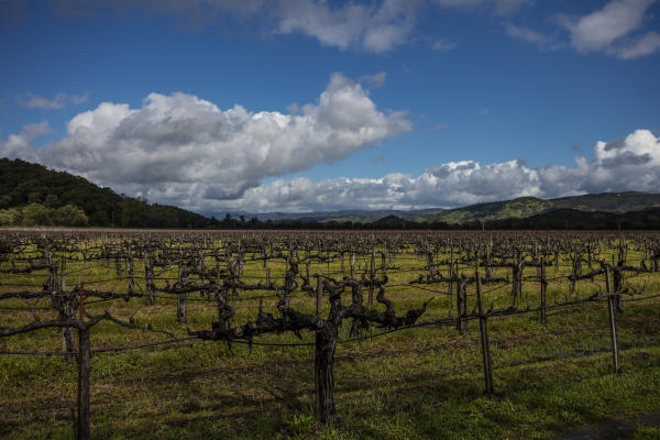 Yountville Crossroad