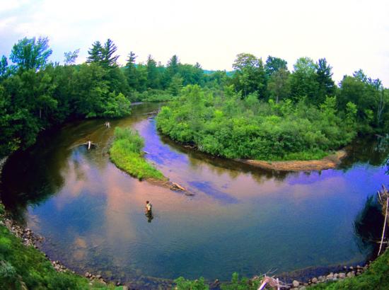 Flyfishing in Boardman River