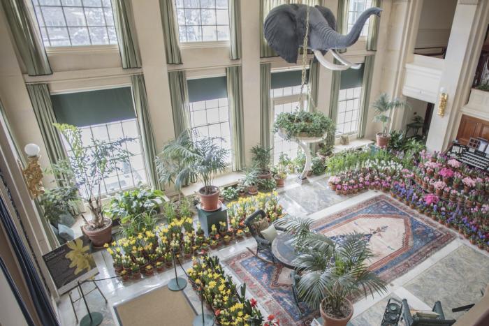 George Eastman Museum Dutch Connection