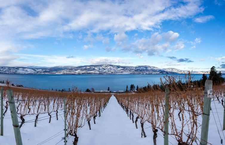 Why Everyone Should Experience Winter Wine Country