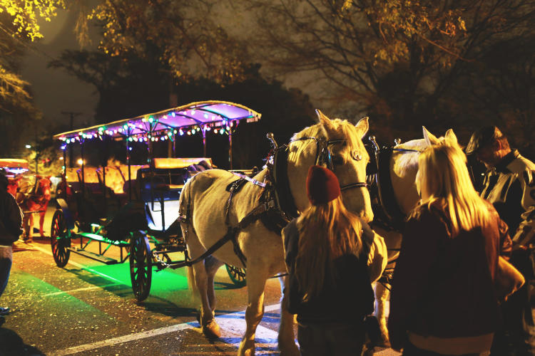 Christmas light holiday season tours in Columbia, SC