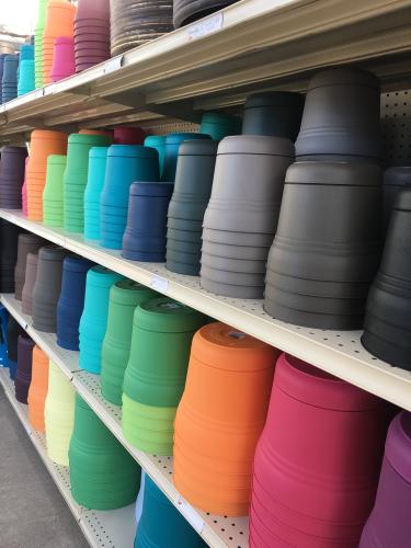 Colorful flower pots at Flowerland