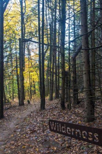 Merrell Trail Wilderness sign in West Michigan