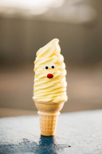 Ice cream cone from Frosty Boy in Grand Rapids