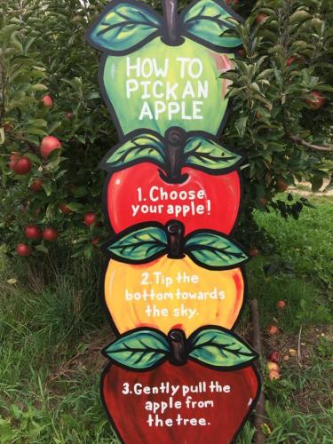 Moelker Orchards apple picking sign in Grand Rapids, Michigan