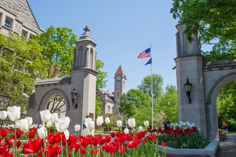 Icons of Indiana University