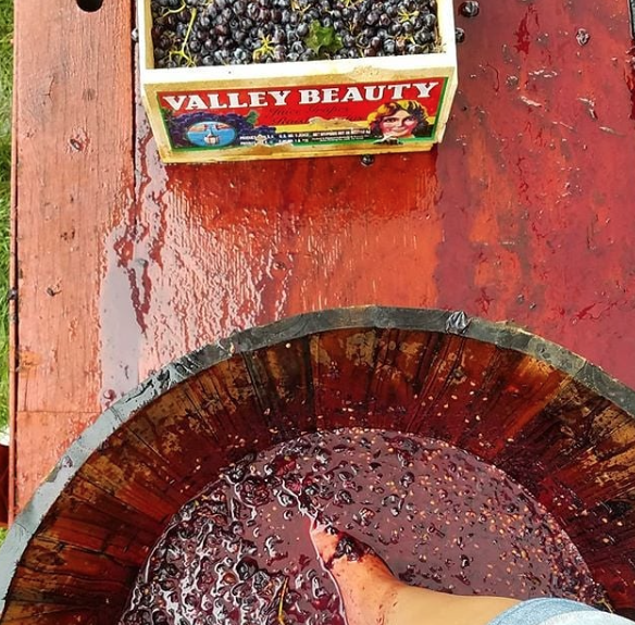 Laurita Winery
