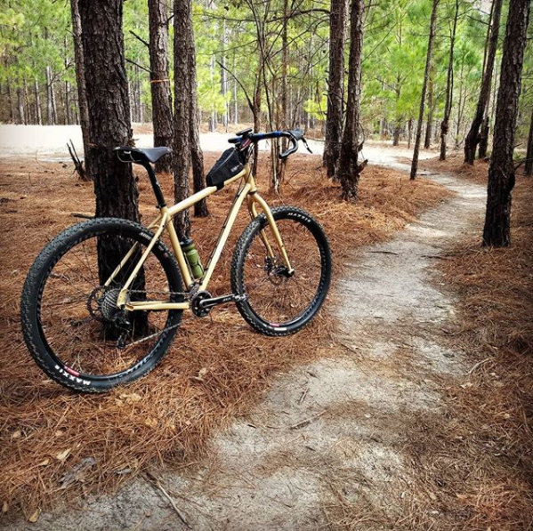 Bartram Forest