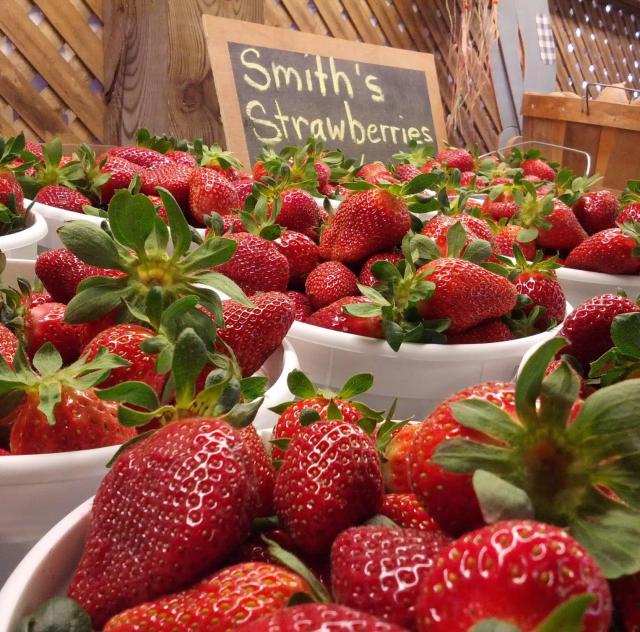 Smith's Nursery and Strawberry Farm