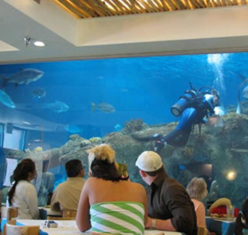 Shark Reef Café ABQ BioPark