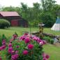 Angelspring Farm Wellness Retreat