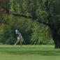 Cloverleaf Golf Club