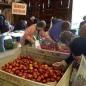 Delmont Apple 'N Arts Festival
