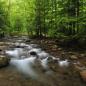 Linn Run State Park