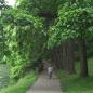 Twin Lakes Park