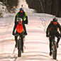 Bike-the-GAP.com