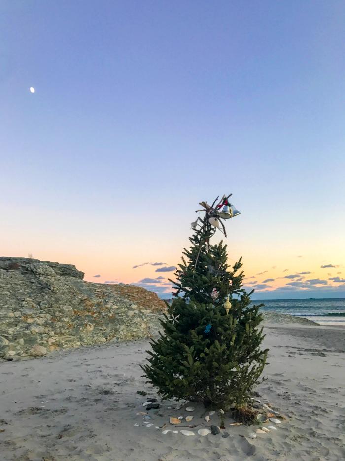 christmas tree rhode island photo album halloween ideas christmas tree rhode island photo album halloween ideas