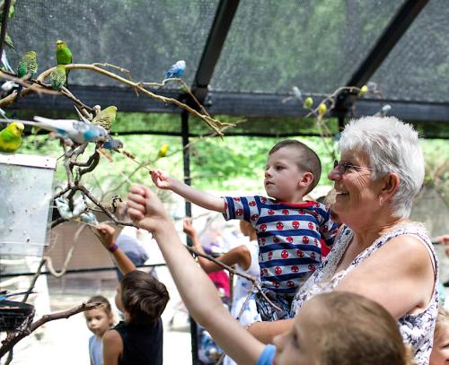 Family feeding birds at the John Ball Zoo