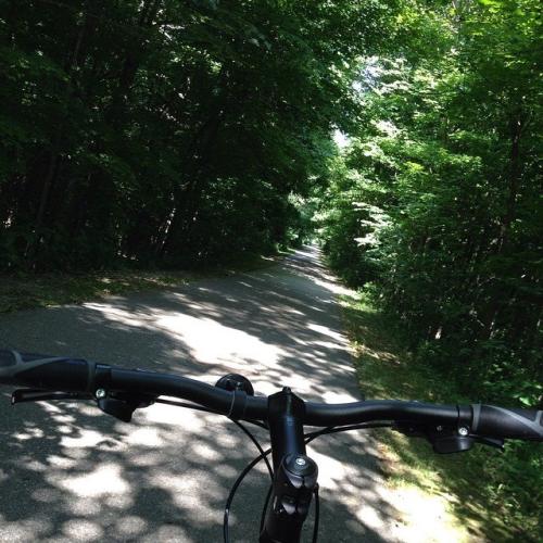 Mountain Biking on the White Pine Trail