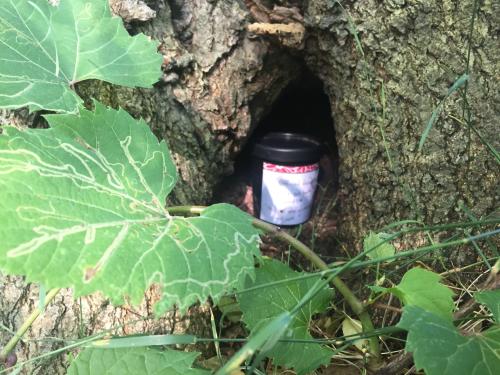 Geocaching in Grand Rapids